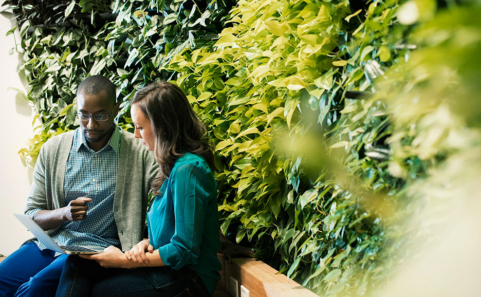 Two business people sitting in front of a green wall using their laptops