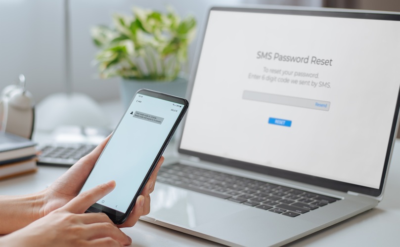 Visual guide for resetting a DNS password, featuring a step-by-step interface on a digital device.