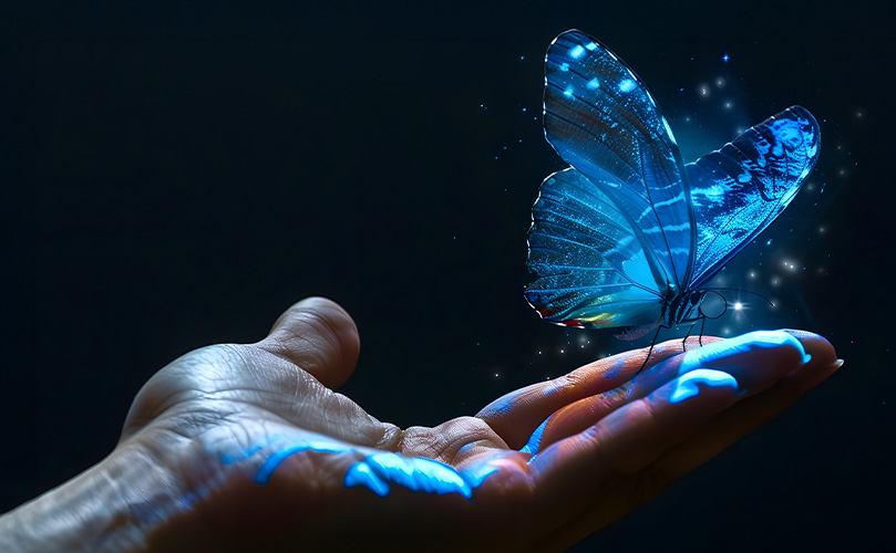 Schmetterling auf einer Handfläche