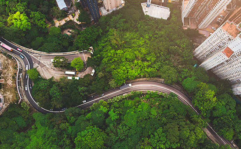 An aerial view of a winding road through dense green foliage, surrounded by urban buildings and skyscrapers.