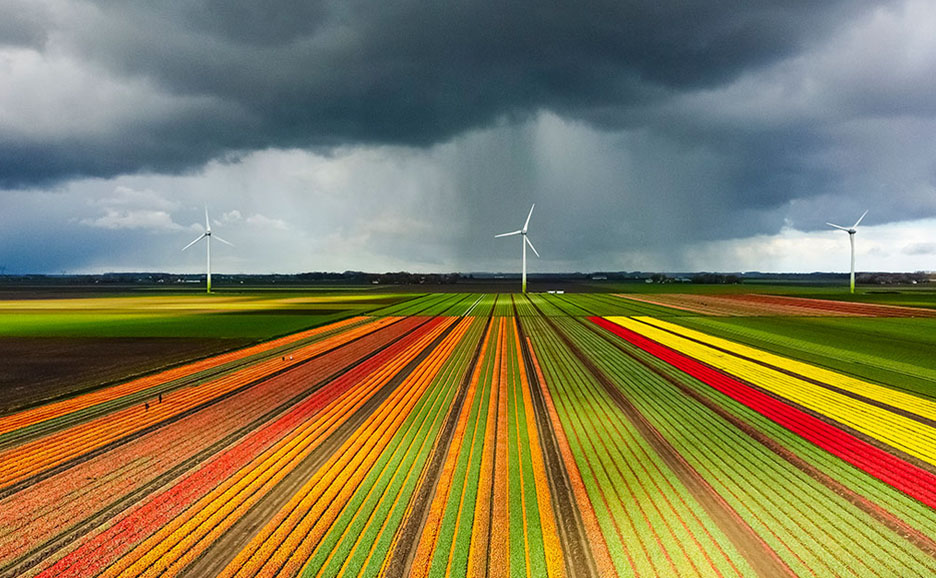 Vast colorful fields with wind turbines under a cloudy sky