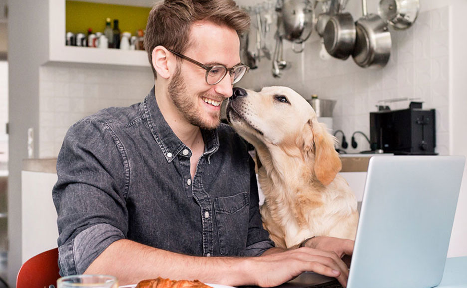 ノートパソコンを操作する男性と飼い犬
