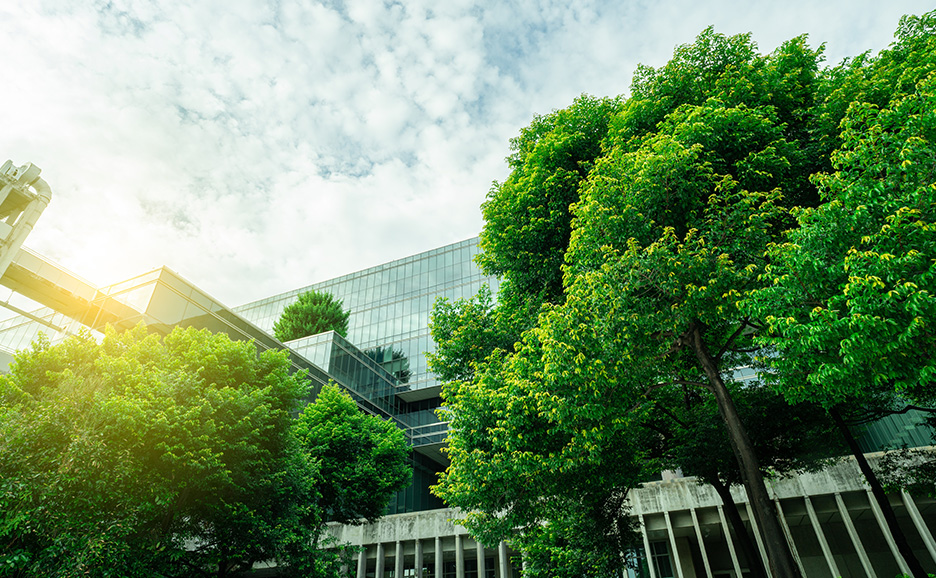 木々に囲まれた近代的なオフィスビル
