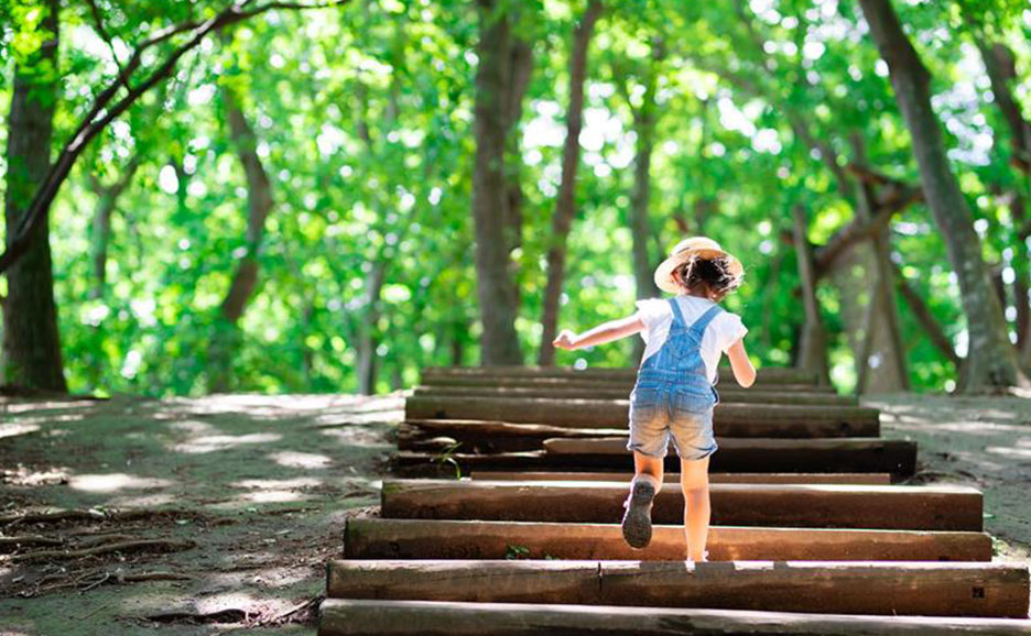 森の中にある気の階段を上る子供