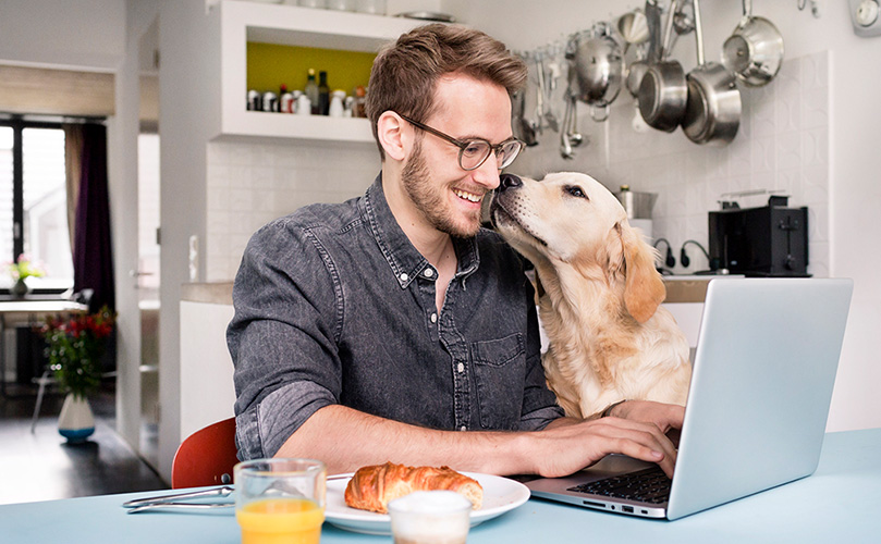 犬と一緒に自宅キッチンでノートパソコンを使う笑顔の男性