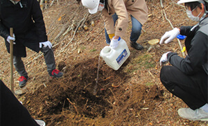 植樹の様子