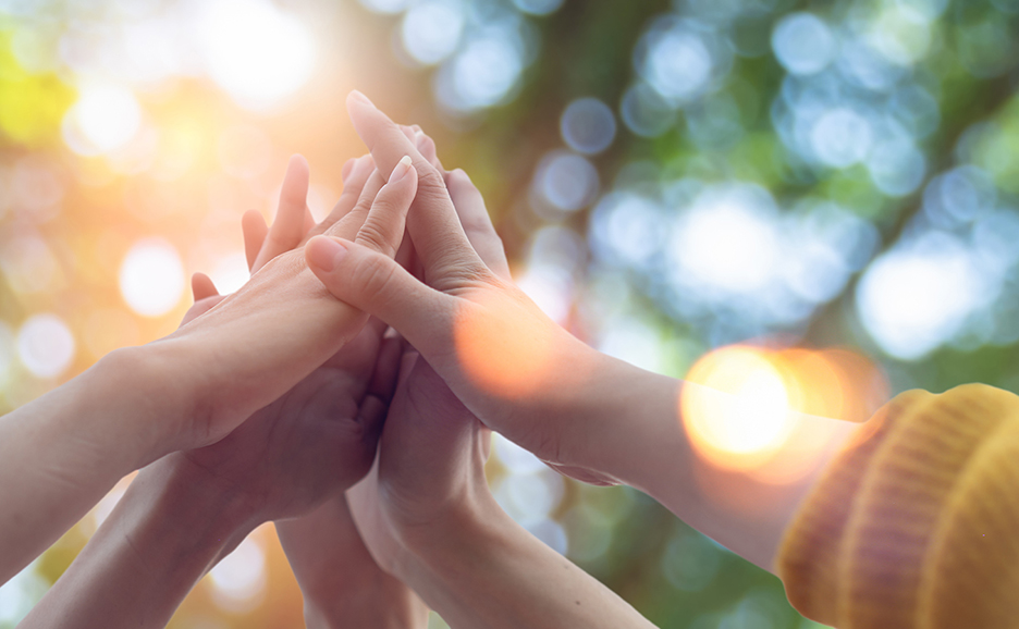 木漏れ日のもとハイタッチする4つの手