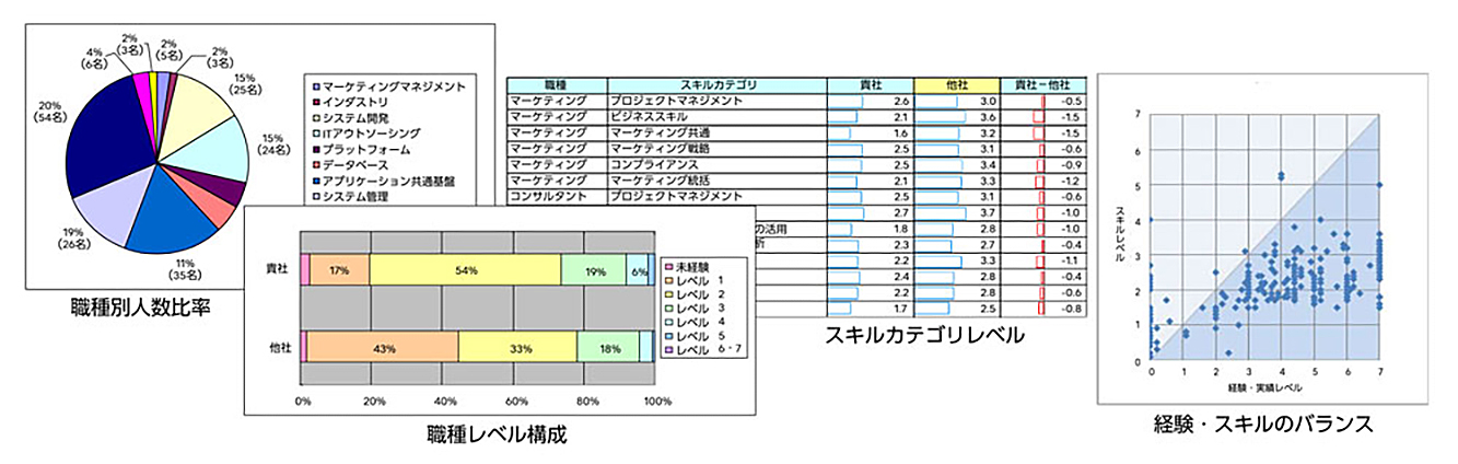 SkillCompass分析アウトプットイメージ(データ、内容はいずれも大日本印刷様の分析結果とは異なります)