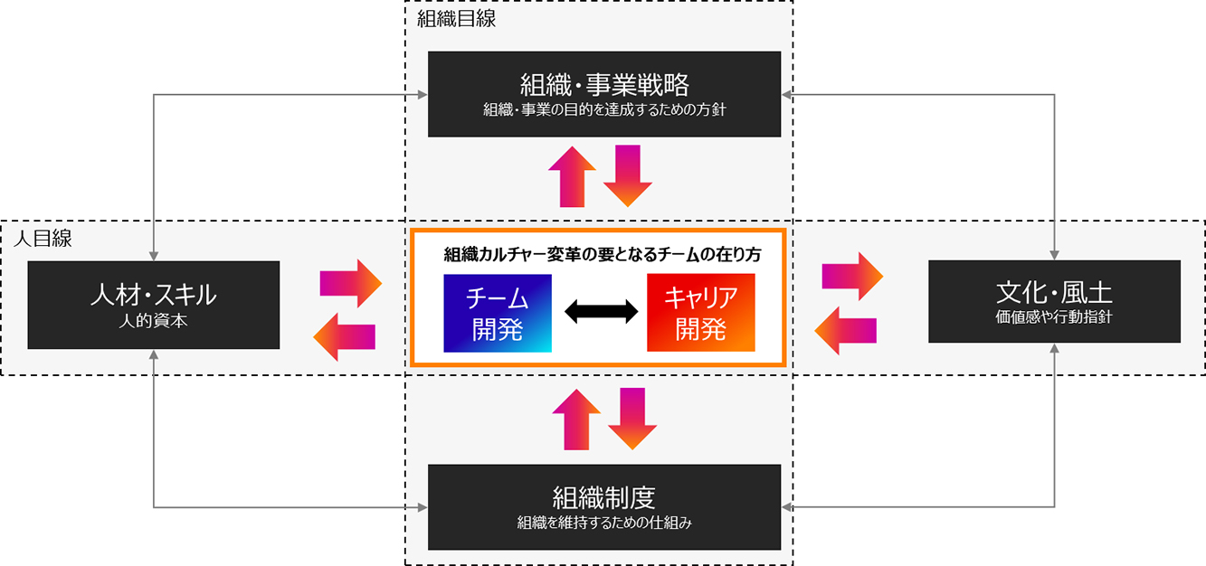 組織目線と人目線を組み合わせて組織カルチャーの要となるチームの在り方を示した図 中心にはチーム開発とキャリア開発が相互に関わる