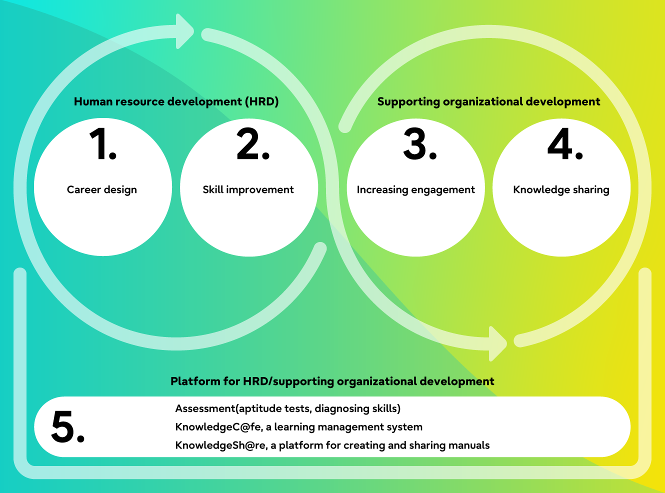Comprehensive solutions that address various HRD challenges