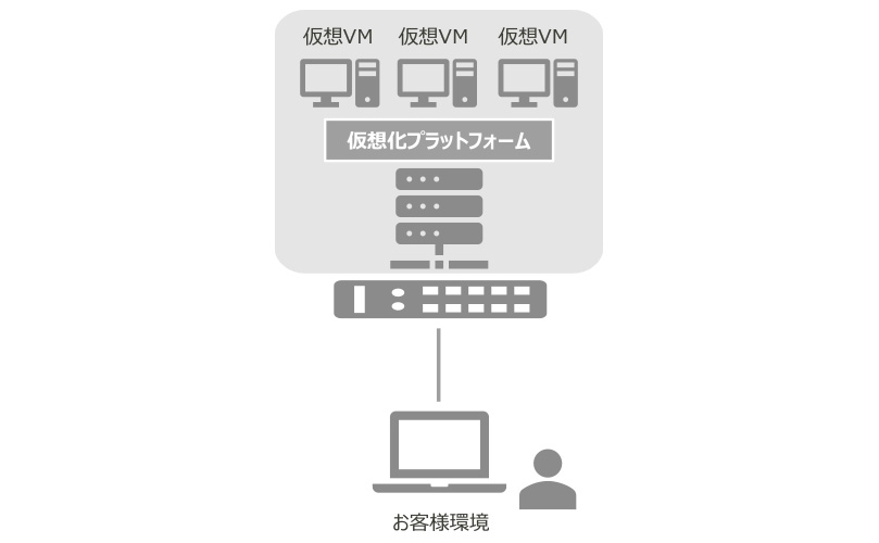 仮想化プラットフォーム上の複数の仮想VMに、顧客環境からアクセスする構成図。