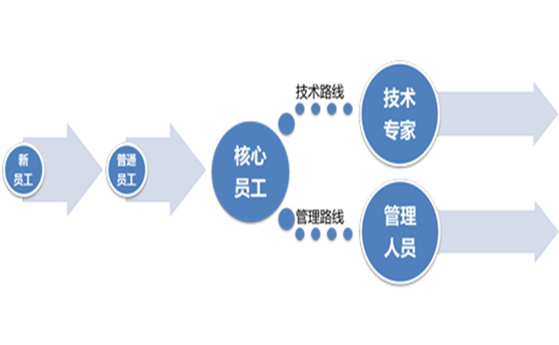 Visual representation of the process stages, detailing each step and its significance in the overall workflow.