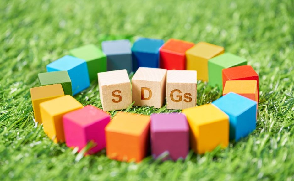 Colorful dice arranged in a circle on the lawn, with a die labeled SDGs among them