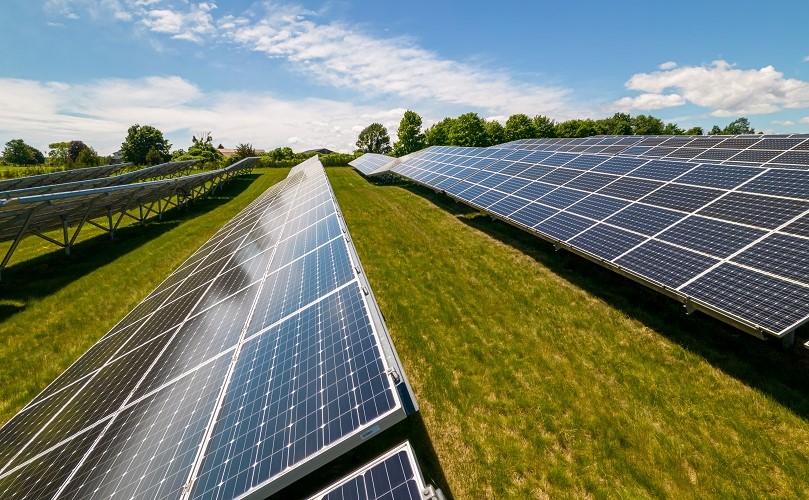 草地に並べられている太陽光発電のソーラーパネル