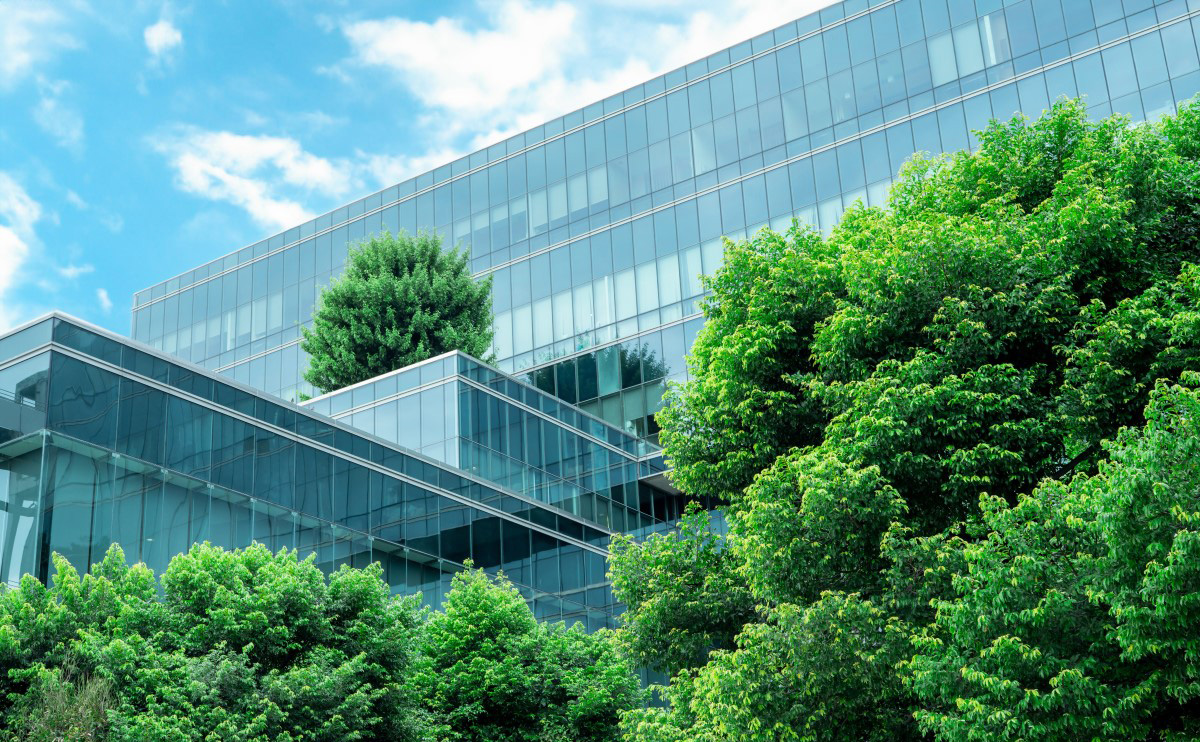 ガラス張りの社屋前の緑