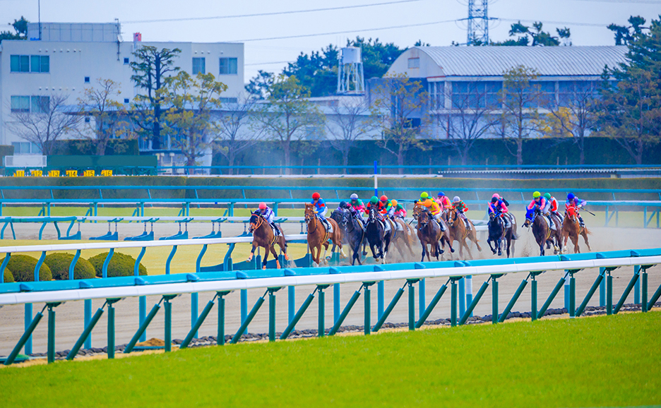コーナーをまわる競走馬の集団