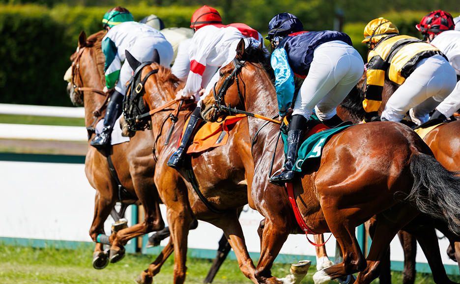 競走馬の集団が駆けてゆく写真
