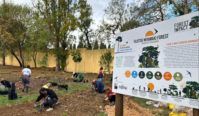 Employees planting trees