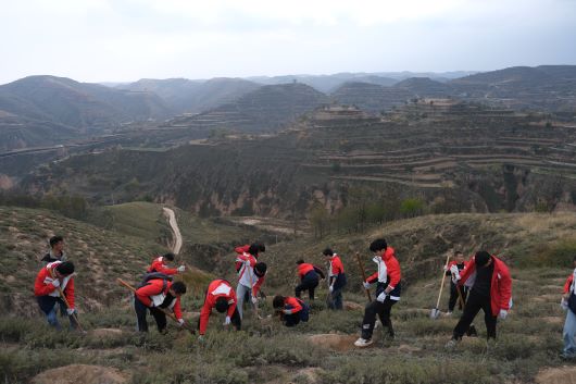 Employees planting trees