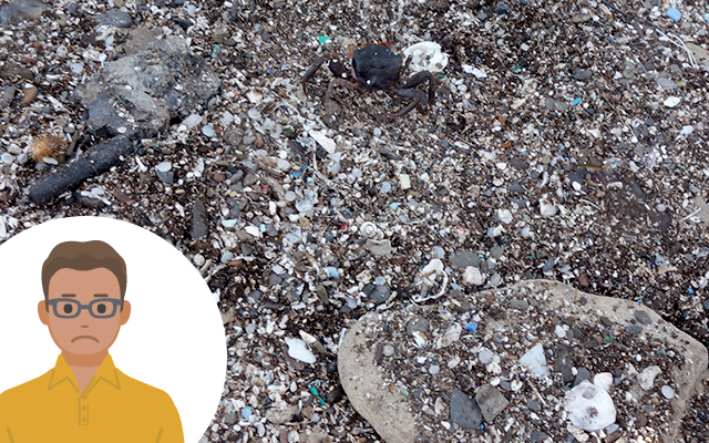 Small plastic pellets and fragments scattered on the sandy beach.