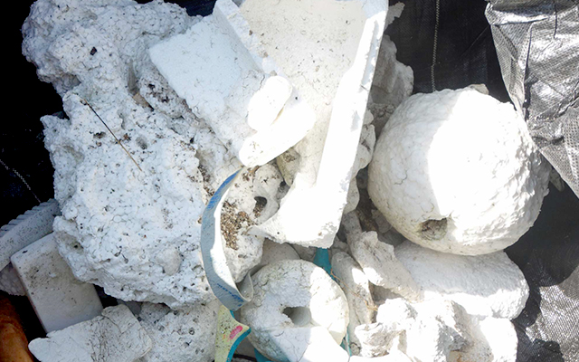 Styrofoam waste