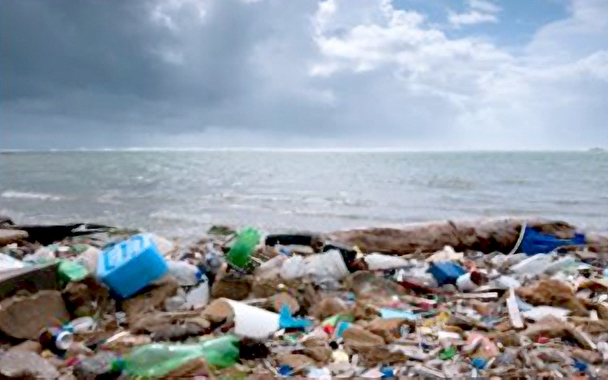 A large amount of trash scattered along the coastline.