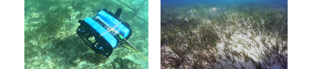 Deploying an underwater drone to monitor the marine environment