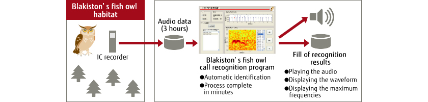 Blakiston's fish owl habitat survey