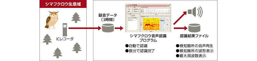 シマフクロウの生息域調査のイメージ