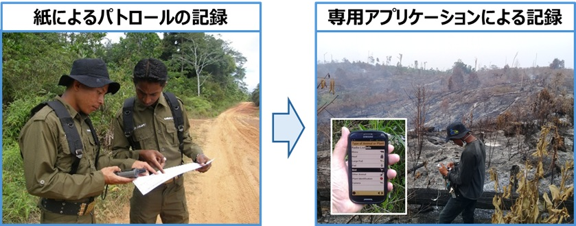 森林パトロールにおけるデジタル技術活用(写真提供:Hutan Harapan)