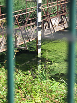 Datacentre emergency access via lagoon preserving biodiversity (United Kingdom)