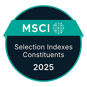 MSCI Selection indexes Logo