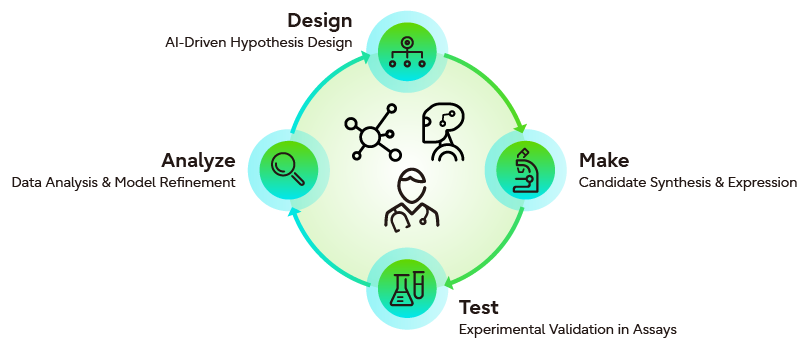 AI-driven DMTA cycle for drug discovery and research: Design (AI-Driven Hypothesis), Make (Candidate Synthesis), Test (Experimental Validation in Assays), and Analyze (Data Analysis & Model Refinement).