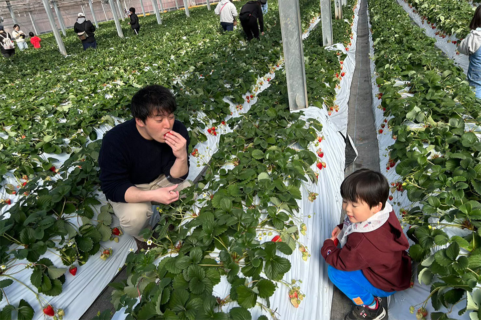 Portrait of Yuta Yoshimoto