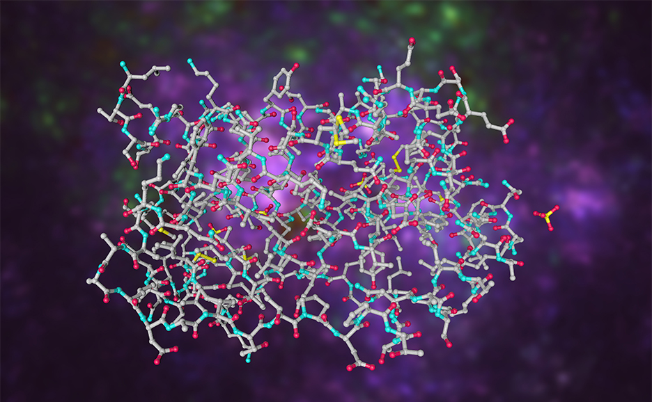 複雑な分子構造の3Dモデルのイメージ。