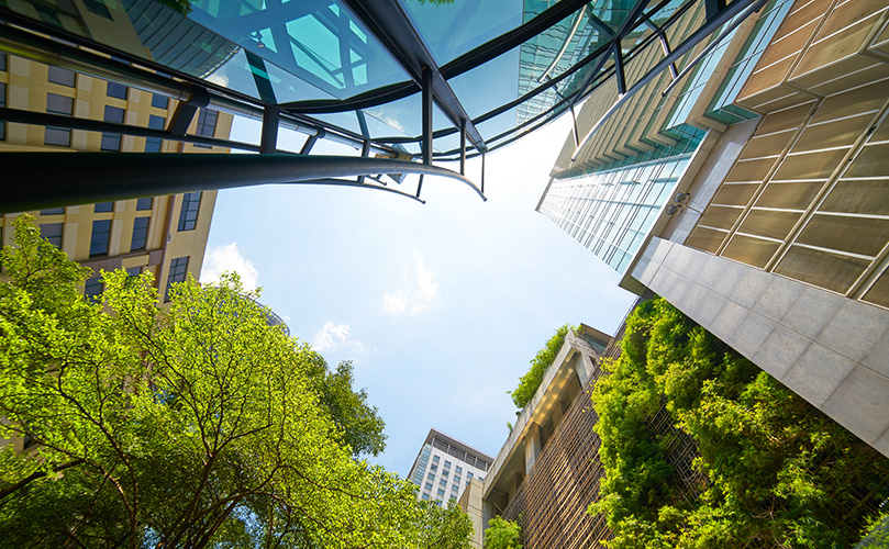 Green low-angle shot against modern glass buildings and clear skies