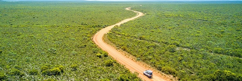 An Australian landscape with a vehicle driving on a winding dirt road through vast green bushland.